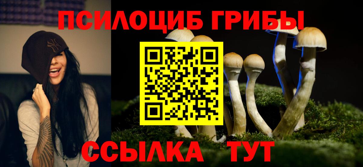 магазин продажи наркотиков  Псилоцибиновые грибы GOLDEN TEACHER  Вход с VPN  Дивногорск 